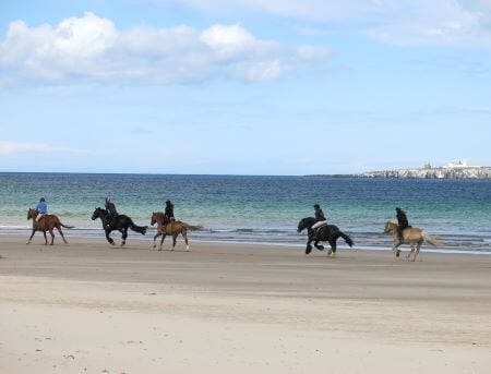 group riding on the beach