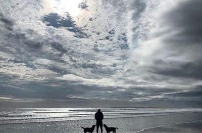 dogs on the beach