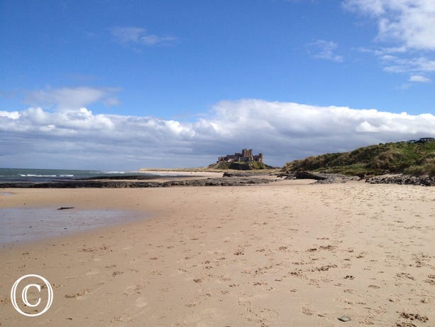 Shore - Bamburgh Flounderfest